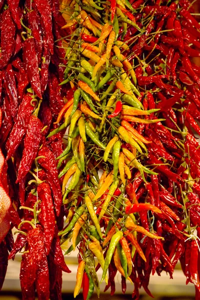 Piment coloré — Photo