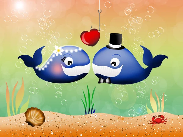 Whales in love — Stock Photo, Image