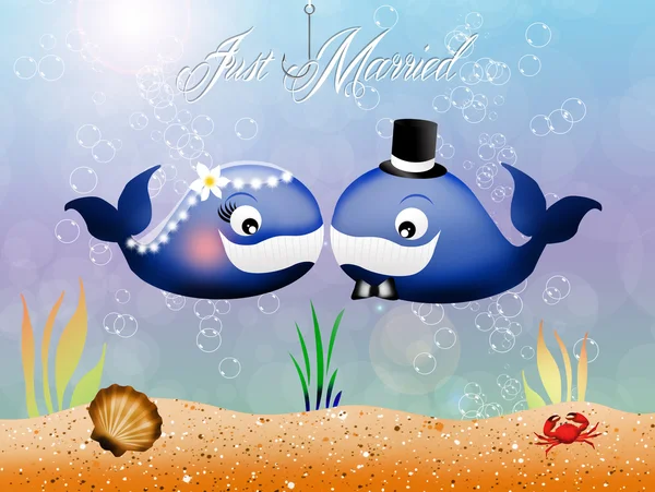 Whales in love — Stock Photo, Image