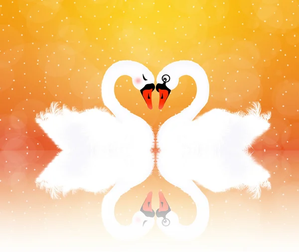 Swans in love — Stock Photo, Image