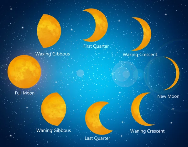 Moon phases โ Stock Photo ยฉ adrenalina #25921405