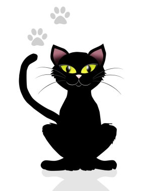 siyah kedi