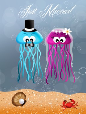 Jellyfishes