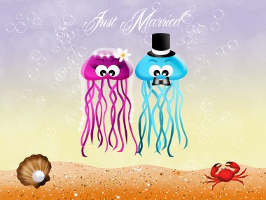 Jellyfishes