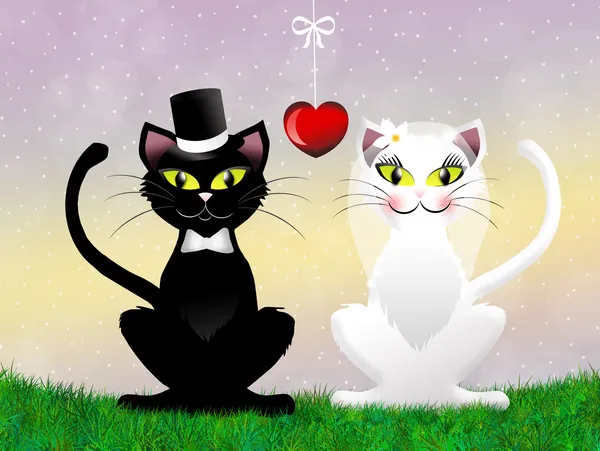 Cats in love — Stock Photo, Image