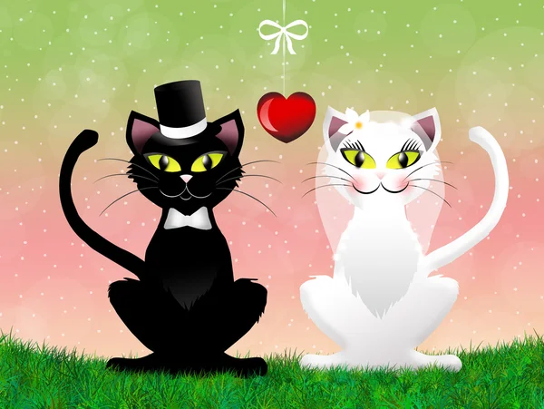 Cats in love — Stock Photo, Image