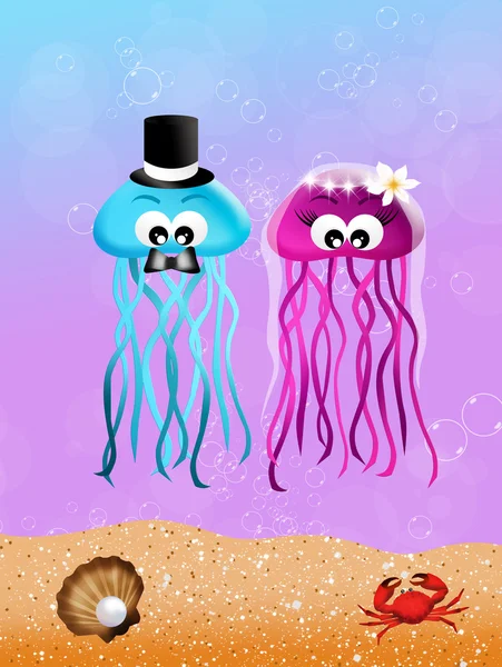 Медузы в любви — стоковое фото