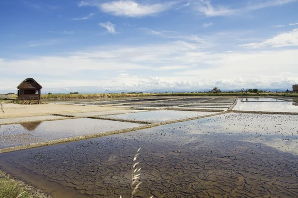 Saltern i cervia, italy — Stockfoto