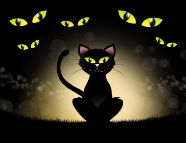 siyah kedi
