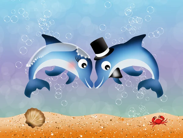 Dolphins in love — Stock Photo, Image