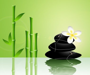Zen taşlar