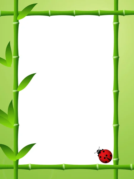 Frame bamboo and ladybug — Stock Photo, Image