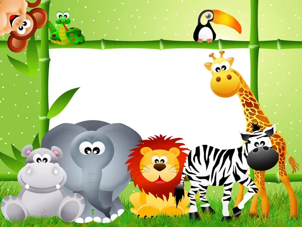 Safari dieren cartoon — Stockfoto