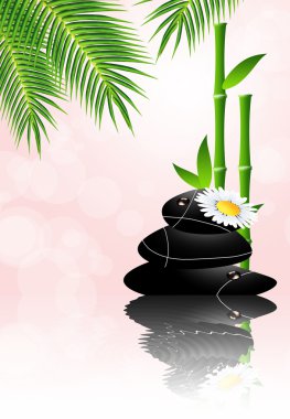 Zen taş spa için