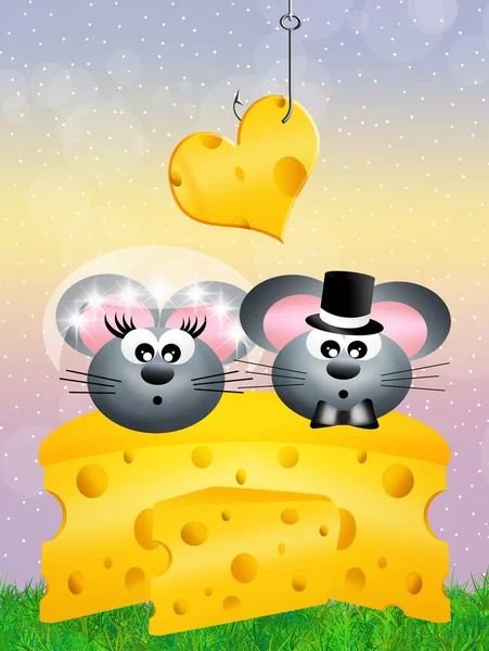 Mice in love — Stock Photo, Image