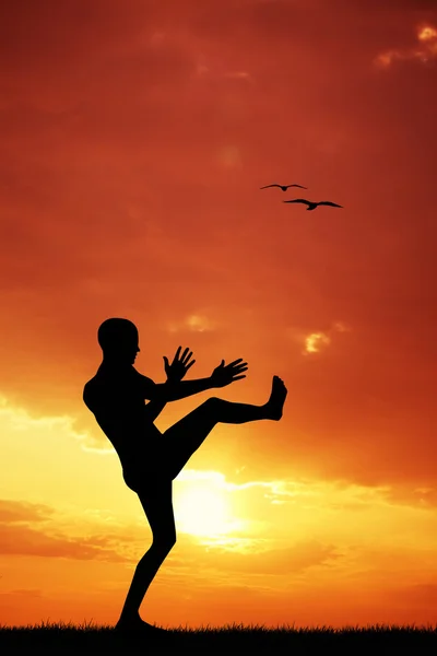 Karate silhouet — Stockfoto