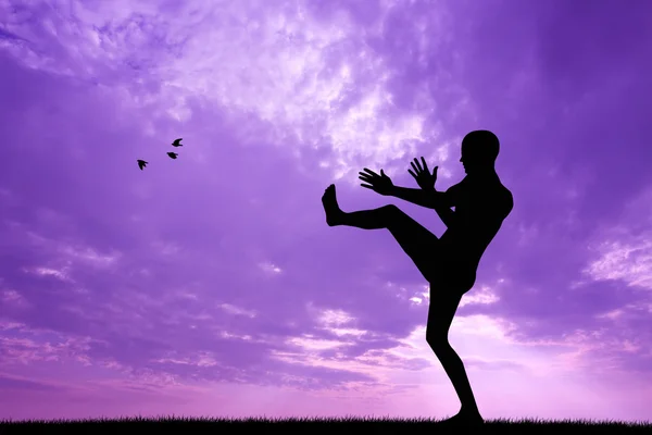 Karate silhouet — Stockfoto