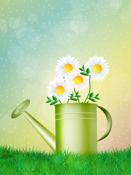 Watering can — Stock Photo, Image