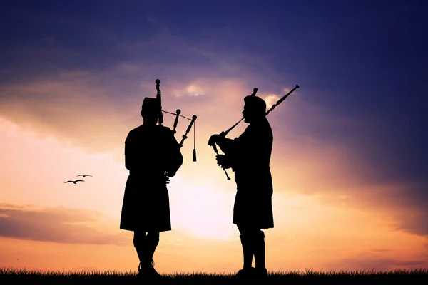 Pipers ao pôr do sol — Fotografia de Stock