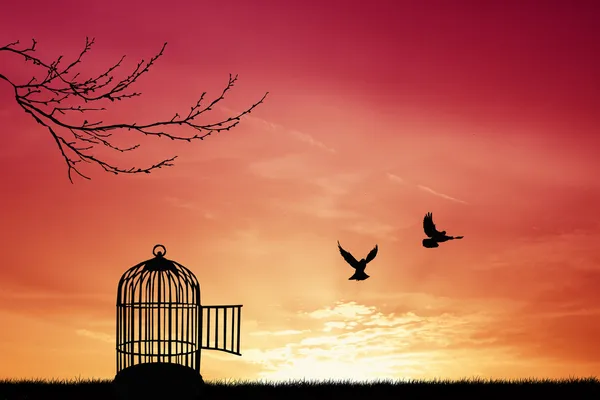 Cage à oiseaux Images De Stock Libres De Droits