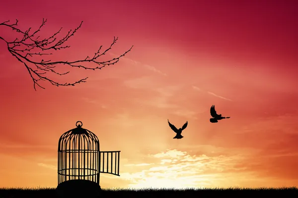 Bird cage Stock Photo