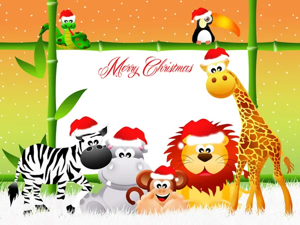Vilda djur vid jul — Stockfoto