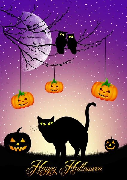 Macskák a Halloween — Stock Fotó