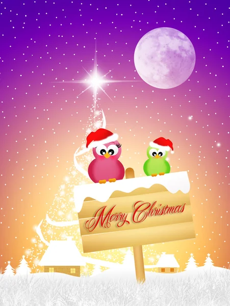 Birds at Christmas — Stock Photo, Image