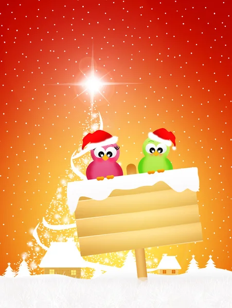 Birds at Christmas — Stock Photo, Image