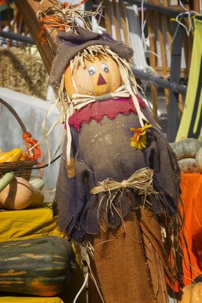 Scarecrow — Stock Photo, Image