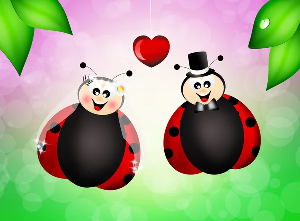 Coccinelle innamorate — Foto Stock