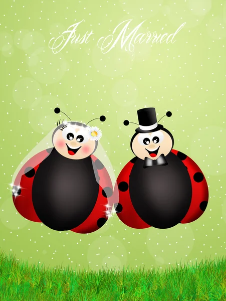 Cartone animato coccinelle — Foto Stock