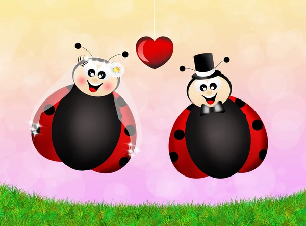 Ladybugs cartoon — Stock Photo, Image