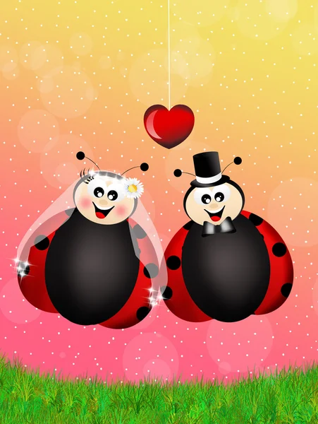 Ladybugs cartoon — Stock Photo, Image