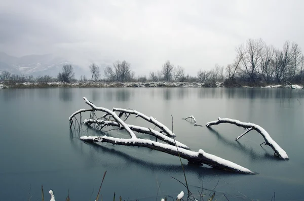 Lago congelado — Fotografia de Stock