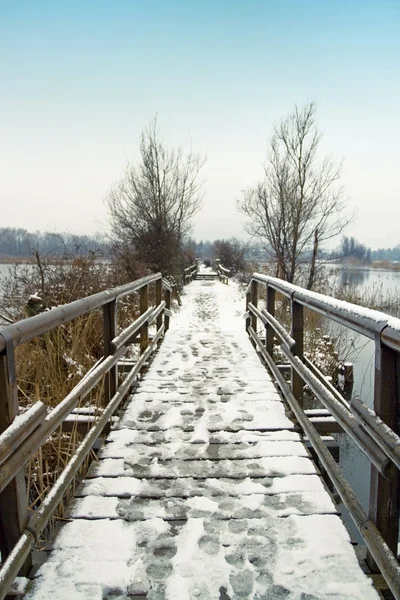 Houten steiger — Stockfoto