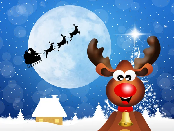 Reindeer — Stock Photo, Image