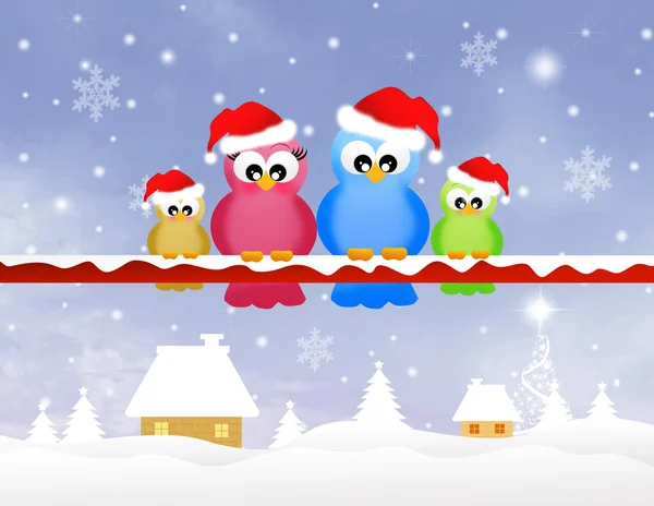 Famiglia di uccelli a Natale — Foto Stock