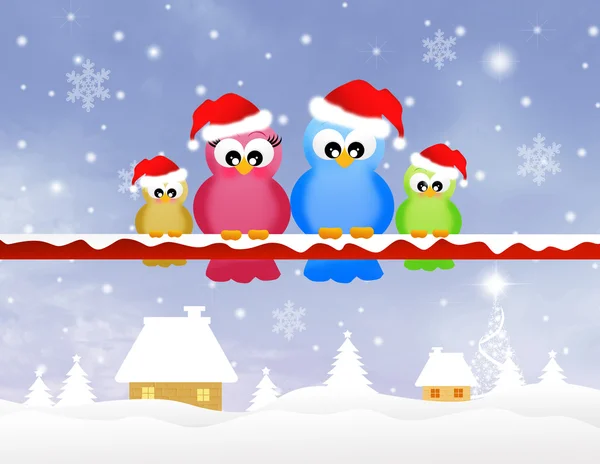 Birds family at Christmas — Stock Photo, Image