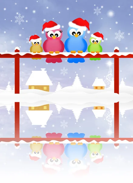 Birds at Christmas — Stock Photo, Image
