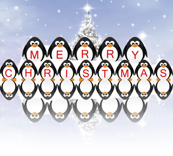 Pinguins no Natal — Fotografia de Stock