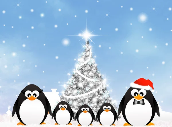 Penguins at Christmas — Stock Photo, Image