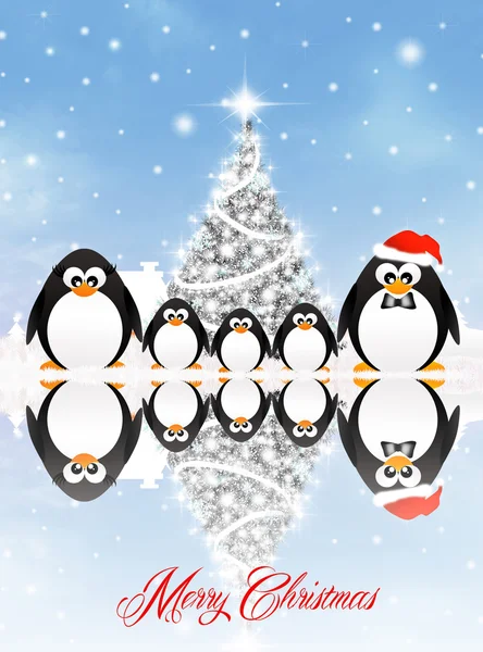 Penguins at Christmas — Stock Photo, Image