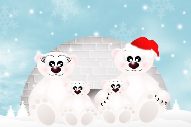 White bear familie