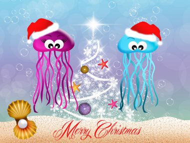 Noel jellifishes