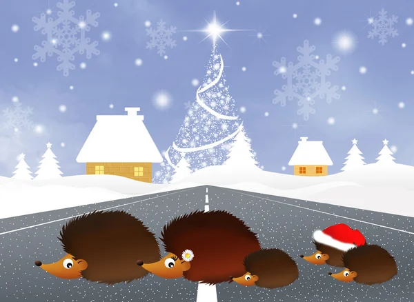 Hedgehogs at Christmas — Stock Photo, Image