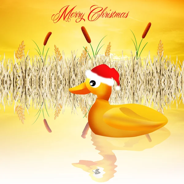 Pato en Navidad — Foto de Stock