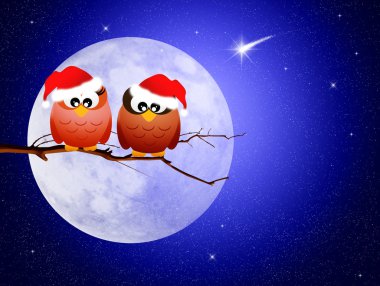 Baykuşlar Noel