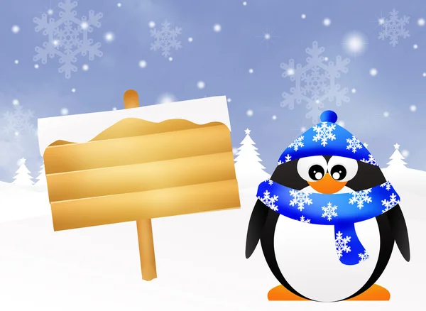 Penguin in winter — Stock Photo, Image