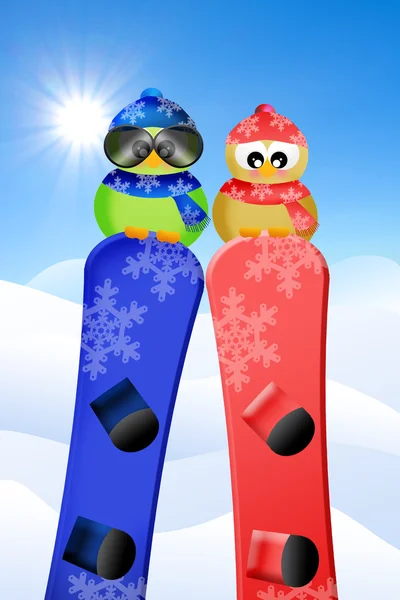 Birds with snowboard — Stock Photo, Image